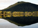 Early Light